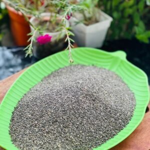 চিয়া সিড (Chia Seed)